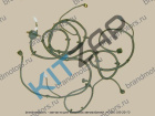 ���� �������� � ������� ����� Wingle